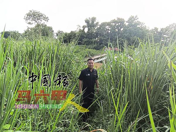 通往河流的小路，野草比人高。