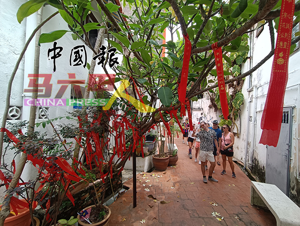 古里街后巷走廊的一棵植物，系有许多红色的许愿布条，引起外国游客的注意。