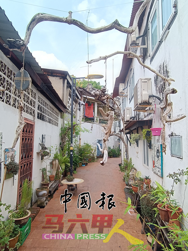 一些老街后巷挂有个人创作品，为后巷增添创作的文艺空间。