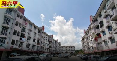 打造宜居环境 解决民生 组屋管委会  要“活”   起来！