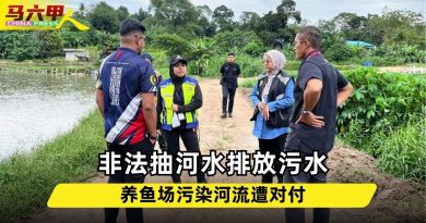 非法抽河水排放污水 养鱼场污染河流遭对付