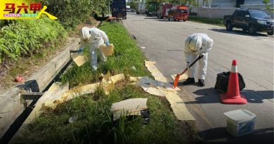 惹南河受汙染產生泡沬    數十魚隻死亡