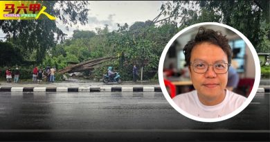 李春沅：开始进入雨季 优先修砍路旁大树