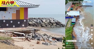 公主海滩海蚀日益严重    公厕变“悬挂”   20排松树卷剩1排
