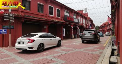 甲市洁净计划 见效    沙丹：国外游客赞赏