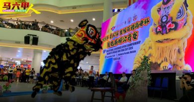 冀明年甲国庆游行增舞狮舞龙 谢守钦：彰显多元文化色彩