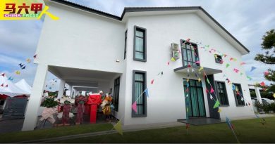 甲首创扩建式双层排屋计划 欧莎娜园第六期   公开发售