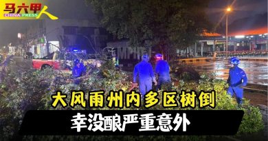 大风雨州内多区树倒  幸没酿严重意外