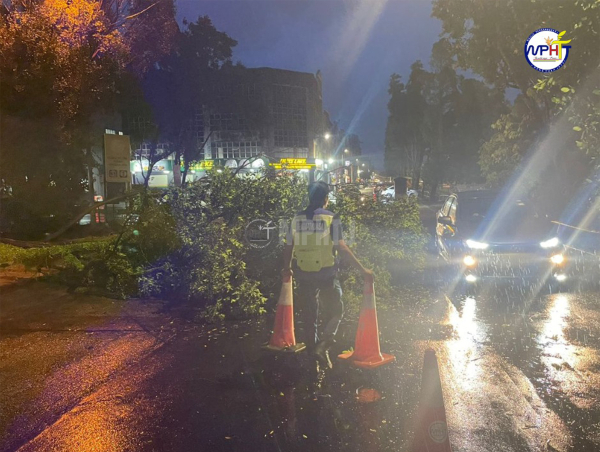 市政厅执法员冒雨把障碍物围在倒下的大树周围，以提醒驾驶人士提高警惕。