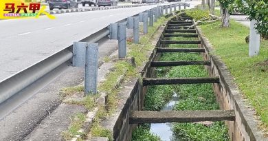 甲市多区排水受阻 沟塞不清 恐 一雨成灾