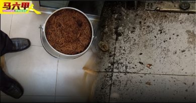 食材放地上    店有老鼠屎 薄饼店被令关闭14天