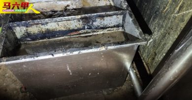 环境太脏还有老鼠屎 2酒店厨房被令关14天