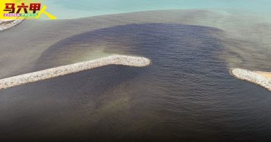 疑垃圾场溢污水流入 礼礼河染黑飘臭