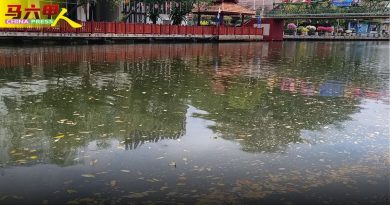 枯叶漂浮 设施破损  甲河脏乱 形象尽毁