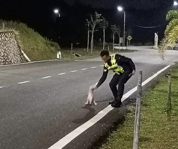 小狗成功被警员救出险境。（图自取警方面子书）