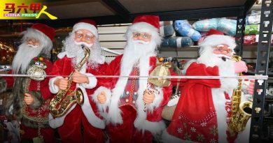 每年可重复使用 圣诞节装饰  永不过时