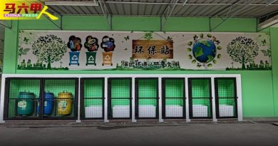晋巷华小  美化环保站  加强分类教育