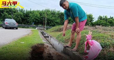 爱极乐新村  沟塌阻排水  要求修缮  没下文