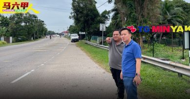 道路弯曲．减速线淡．大树未修 丹绒米雅新村     意外频传