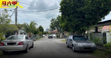 有病果树  主人自己砍     地方政府 “不包”处理