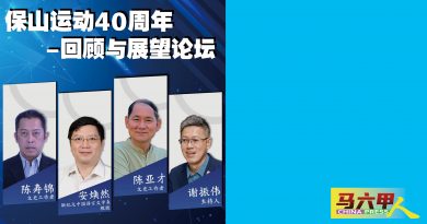 甲华堂纪念守护三宝山 周六起办保山40年论坛