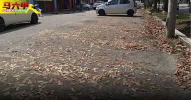 邓永森将带进市会商议  探讨每月定期清落叶