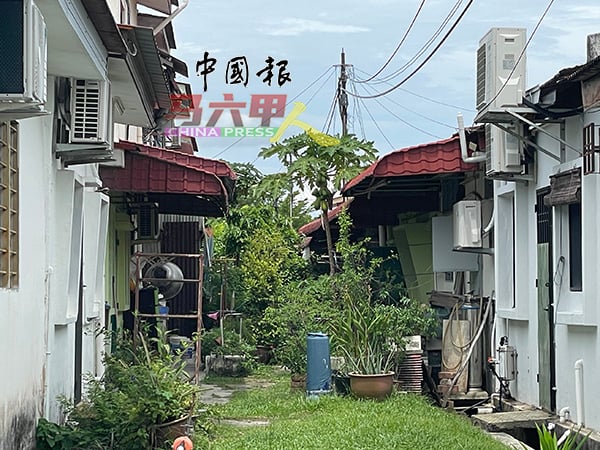 ■屋主滥用后巷地段，种植果树的情况的十分普遍。