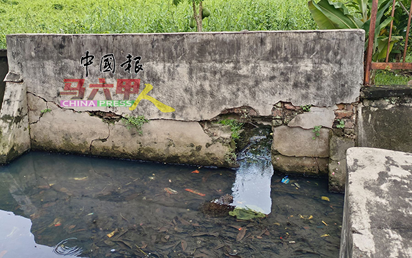 ■防洪沟淤泥及枯叶堆积，水平线与沟渠一样，下雨时发挥不到排水功效，雨水倒流到住家。