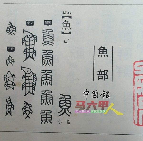 ■篆刻文字的起源可以追溯至甲骨文，其中的“鱼”字在甲骨文中被刻画为真实的鱼形状，体现了早期文字与物象的紧密联系。