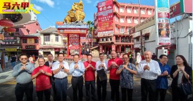 “春节申遗 展中华魅力”      颜天禄：促进马中文明交流