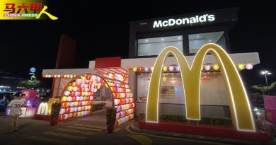 以新春蛇年主题布置 柠檬眼麦当劳   新春气氛浓