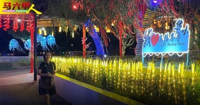 今日马六甲头条｜梅花含苞．灯笼高挂 马接峇鲁新村  年味浓