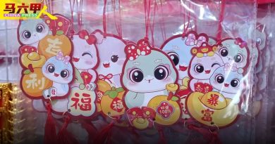 设备圆润柔和 好讨喜 蛇蛇装饰品  人人爱
