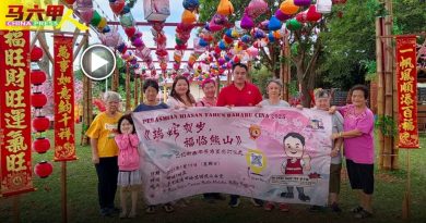 武吉波浪新春年景布置 19日亮灯   10打卡点任拍
