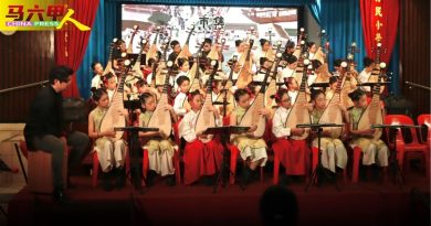 崔金梅：不仅培养音乐素养  “琵琶可锻炼专注力”