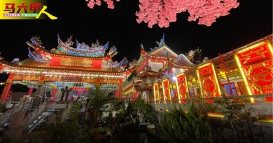 今日马六甲头条｜卡通蛇点缀 梅花树“盛开”  青龙宫15打卡点 等你来