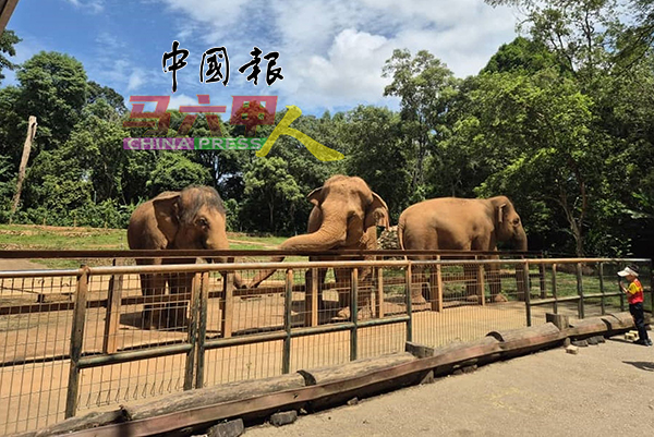 ■配合2025年2月20日独立纪念日假期，州政府将继续开放旅游景点，免费让游客及市民参观，其中一景点包括马六甲动物园。 