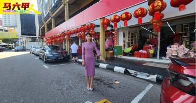 店外摆年货   办年货市集  商家可上网申请了
