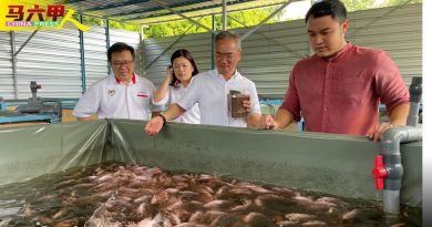 邱培栋：10万拨款推动发展 新村应响应  昌明社区繁荣项目
