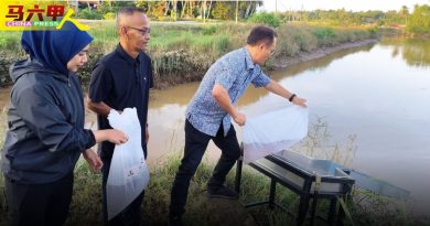 甲渔业局获拨款47万 7河流湖泊释放190万虾苗