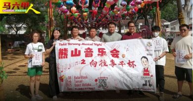 甲领花园年景布置场地 2月8日办”熊山音乐会”