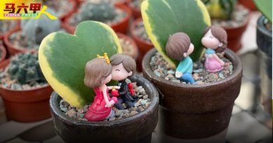 不再让鲜花专美 送你  一片心！