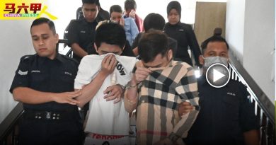 8男女承认线上诈骗 各被判罚6000