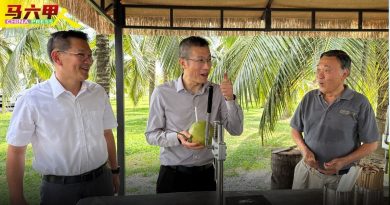 新华社代表团访吉里望 体验椰林休闲生态旅游