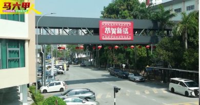 耗资63万建造 培中鲲鹏天桥   正式启用