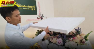 今日马六甲头条｜陪伴毛孩走最后一程 宠物善终   为爱好好告别