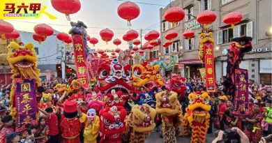 巨狮 舞龙 舞狮 齐舞动    古城元宵盛会  热爆！