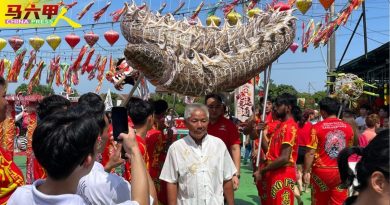 元宵节迎白龙王公圣诞  数千善信  祝寿求好运