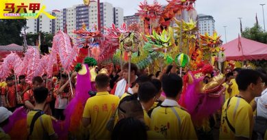 天地君圆醮巡境大典 2000善信    游行12公里