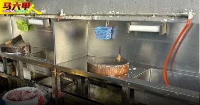 市政厅卫生执法行动 发出40通告10罚单